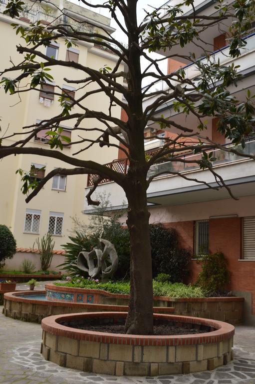 Adan Vatican Bed and Breakfast Roma Exterior foto